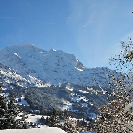 Apartment Central By Interhome Wengen Esterno foto